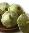 v_squashpattypan.jpg